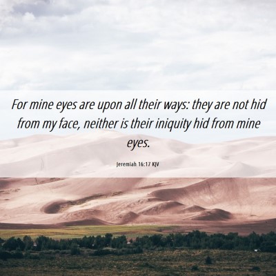Picture 06 - Jeremiah 16:17 KJV - For mine eyes are upon all their ways: they are - Bible Verse Picture