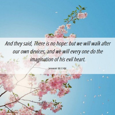 Picture 06 - Jeremiah 18:12 KJV - And they said, There is no hope: but we will walk - Bible Verse Picture