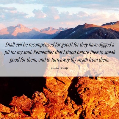 Picture 06 - Jeremiah 18:20 KJV - Shall evil be recompensed for good? for they have - Bible Verse Picture