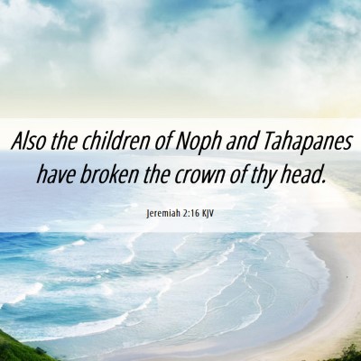 Picture 06 - Jeremiah 2:16 KJV - Also the children of Noph and Tahapanes have - Bible Verse Picture