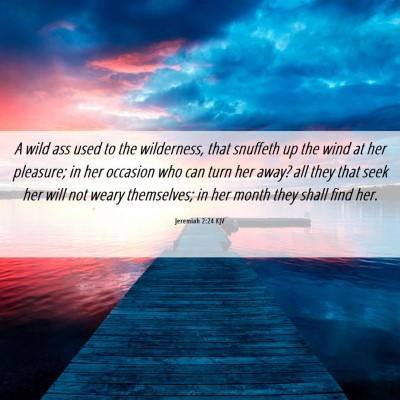 Picture 06 - Jeremiah 2:24 KJV - A wild ass used to the wilderness, that snuffeth - Bible Verse Picture