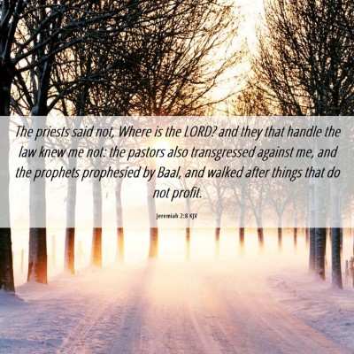Picture 06 - Jeremiah 2:8 KJV - The priests said not, Where is the LORD? and they - Bible Verse Picture