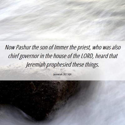 Picture 06 - Jeremiah 20:1 KJV - Now Pashur the son of Immer the priest, who was - Bible Verse Picture