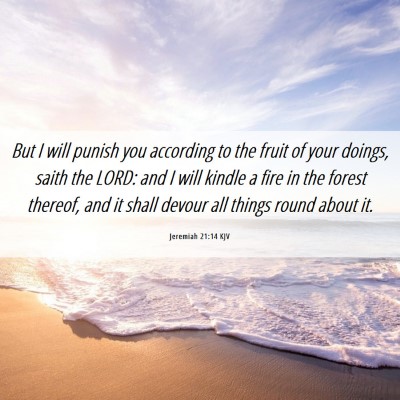 Picture 06 - Jeremiah 21:14 KJV - But I will punish you according to the fruit of - Bible Verse Picture