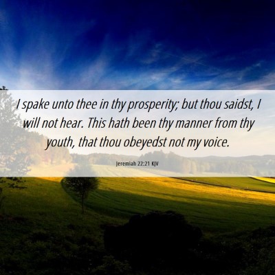 Picture 06 - Jeremiah 22:21 KJV - I spake unto thee in thy prosperity; but thou - Bible Verse Picture