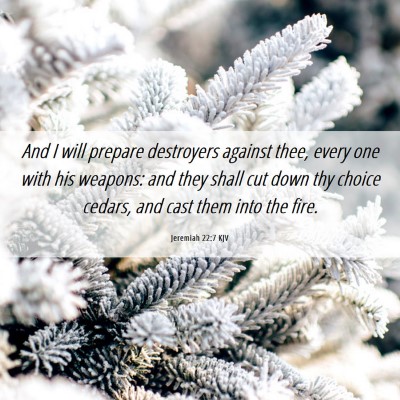 Picture 06 - Jeremiah 22:7 KJV - And I will prepare destroyers against thee, every - Bible Verse Picture