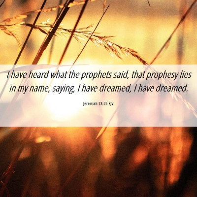 Picture 06 - Jeremiah 23:25 KJV - I have heard what the prophets said, that - Bible Verse Picture