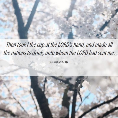 Picture 06 - Jeremiah 25:17 KJV - Then took I the cup at the LORD's hand, and made - Bible Verse Picture