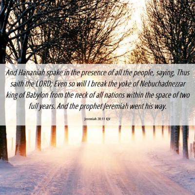 Picture 06 - Jeremiah 28:11 KJV - And Hananiah spake in the presence of all the - Bible Verse Picture