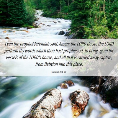 Picture 06 - Jeremiah 28:6 KJV - Even the prophet Jeremiah said, Amen: the LORD do - Bible Verse Picture