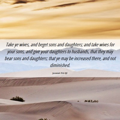 Picture 06 - Jeremiah 29:6 KJV - Take ye wives, and beget sons and daughters; and - Bible Verse Picture
