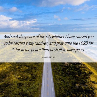 Picture 06 - Jeremiah 29:7 KJV - And seek the peace of the city whither I have - Bible Verse Picture