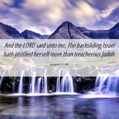 Picture 06 - Jeremiah 3:11 KJV - And the LORD said unto me, The backsliding Israel - Bible Verse Picture