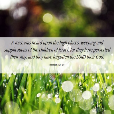 Picture 06 - Jeremiah 3:21 KJV - A voice was heard upon the high places, weeping - Bible Verse Picture