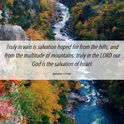 Picture 06 - Jeremiah 3:23 KJV - Truly in vain is salvation hoped for from the - Bible Verse Picture