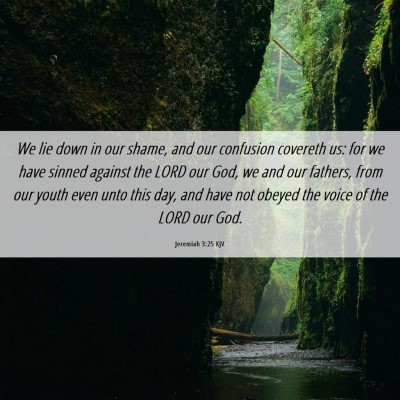 Picture 06 - Jeremiah 3:25 KJV - We lie down in our shame, and our confusion - Bible Verse Picture