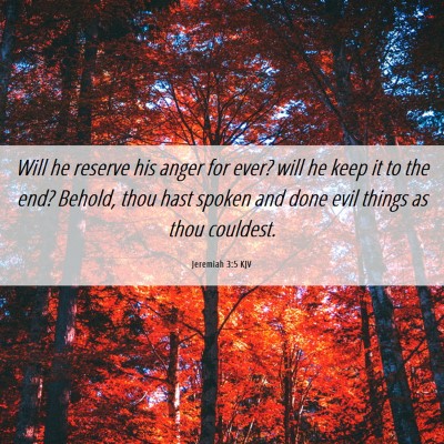 Picture 06 - Jeremiah 3:5 KJV - Will he reserve his anger for ever? will he keep - Bible Verse Picture