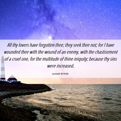 Picture 06 - Jeremiah 30:14 KJV - All thy lovers have forgotten thee; they seek - Bible Verse Picture