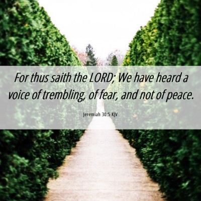 Picture 06 - Jeremiah 30:5 KJV - For thus saith the LORD; We have heard a voice of - Bible Verse Picture