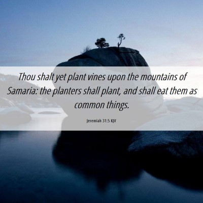 Picture 06 - Jeremiah 31:5 KJV - Thou shalt yet plant vines upon the mountains of - Bible Verse Picture