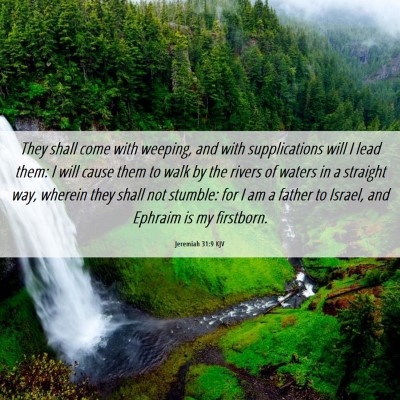 Picture 06 - Jeremiah 31:9 KJV - They shall come with weeping, and with - Bible Verse Picture