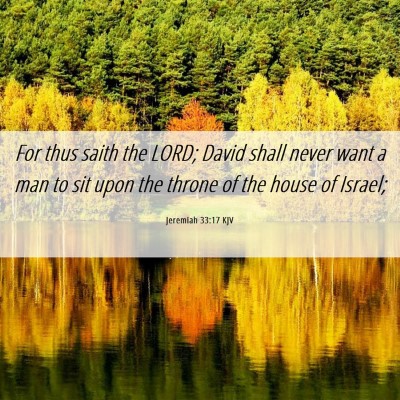 Picture 06 - Jeremiah 33:17 KJV - For thus saith the LORD; David shall never want a - Bible Verse Picture