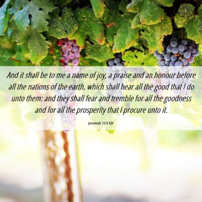 Picture 06 - Jeremiah 33:9 KJV - And it shall be to me a name of joy, a praise and - Bible Verse Picture