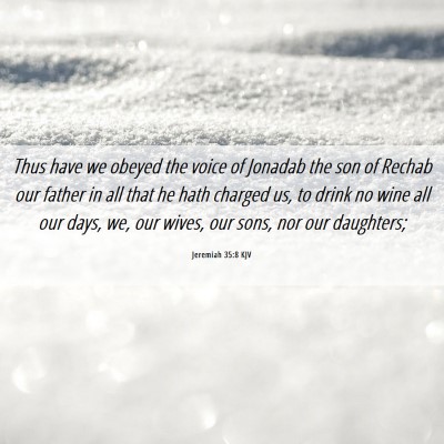 Picture 06 - Jeremiah 35:8 KJV - Thus have we obeyed the voice of Jonadab the son - Bible Verse Picture