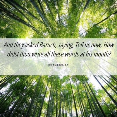Picture 06 - Jeremiah 36:17 KJV - And they asked Baruch, saying, Tell us now, How - Bible Verse Picture