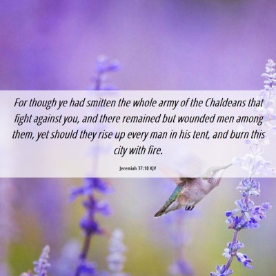 Picture 06 - Jeremiah 37:10 KJV - For though ye had smitten the whole army of the - Bible Verse Picture