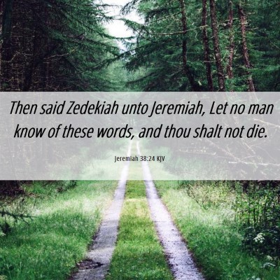 Picture 06 - Jeremiah 38:24 KJV - Then said Zedekiah unto Jeremiah, Let no man know - Bible Verse Picture