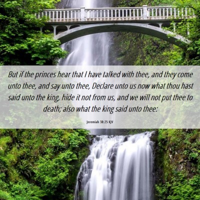 Picture 06 - Jeremiah 38:25 KJV - But if the princes hear that I have talked with - Bible Verse Picture