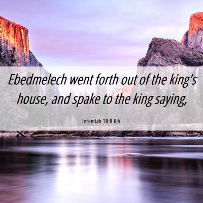Picture 06 - Jeremiah 38:8 KJV - Ebedmelech went forth out of the king's house, - Bible Verse Picture