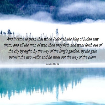 Picture 06 - Jeremiah 39:4 KJV - And it came to pass, that when Zedekiah the king - Bible Verse Picture