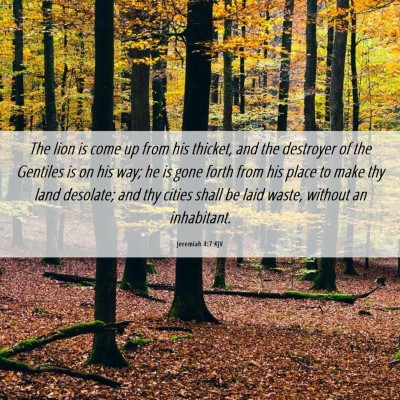 Picture 06 - Jeremiah 4:7 KJV - The lion is come up from his thicket, and the - Bible Verse Picture