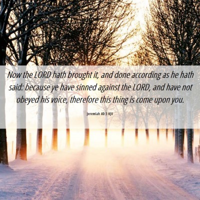 Picture 06 - Jeremiah 40:3 KJV - Now the LORD hath brought it, and done according - Bible Verse Picture