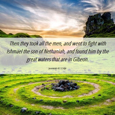 Picture 06 - Jeremiah 41:12 KJV - Then they took all the men, and went to fight - Bible Verse Picture