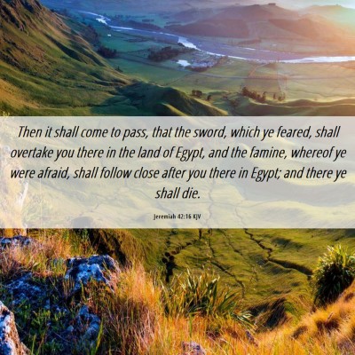Picture 06 - Jeremiah 42:16 KJV - Then it shall come to pass, that the sword, which - Bible Verse Picture