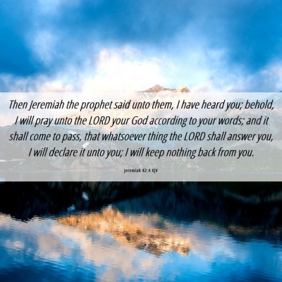 Picture 06 - Jeremiah 42:4 KJV - Then Jeremiah the prophet said unto them, I have - Bible Verse Picture