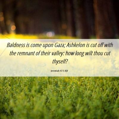Picture 06 - Jeremiah 47:5 KJV - Baldness is come upon Gaza; Ashkelon is cut off - Bible Verse Picture