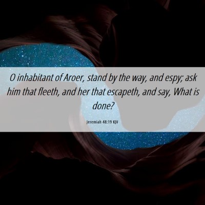 Picture 06 - Jeremiah 48:19 KJV - O inhabitant of Aroer, stand by the way, and - Bible Verse Picture