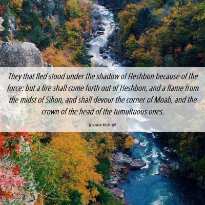 Picture 06 - Jeremiah 48:45 KJV - They that fled stood under the shadow of Heshbon - Bible Verse Picture