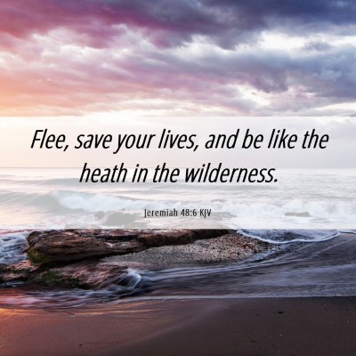 Picture 06 - Jeremiah 48:6 KJV - Flee, save your lives, and be like the heath in - Bible Verse Picture