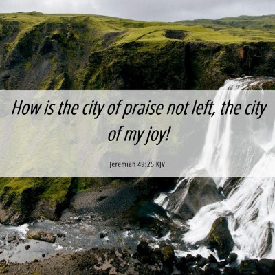Picture 06 - Jeremiah 49:25 KJV - How is the city of praise not left, the city of - Bible Verse Picture
