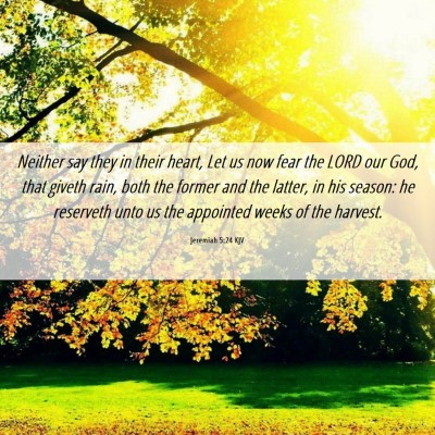 Picture 06 - Jeremiah 5:24 KJV - Neither say they in their heart, Let us now fear - Bible Verse Picture