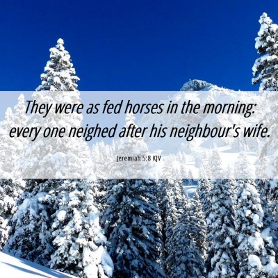 Picture 06 - Jeremiah 5:8 KJV - They were as fed horses in the morning: every one - Bible Verse Picture