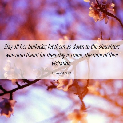 Picture 06 - Jeremiah 50:27 KJV - Slay all her bullocks; let them go down to the - Bible Verse Picture