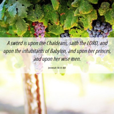 Picture 06 - Jeremiah 50:35 KJV - A sword is upon the Chaldeans, saith the LORD, - Bible Verse Picture