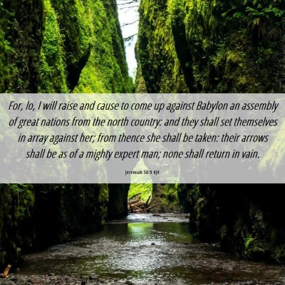 Picture 06 - Jeremiah 50:9 KJV - For, lo, I will raise and cause to come up - Bible Verse Picture