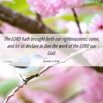 Picture 06 - Jeremiah 51:10 KJV - The LORD hath brought forth our righteousness: - Bible Verse Picture